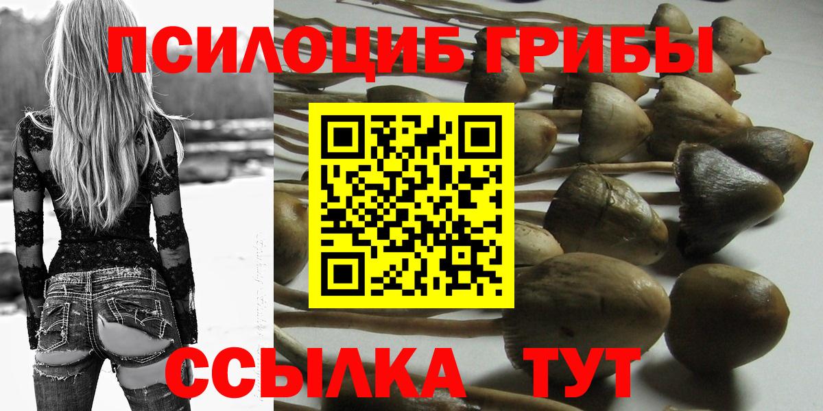 Галлюциногенные грибы Psilocybine cubensis  Галлюциногенные грибы GOLDEN TEACHER  Протвино  закладка  Вход с VPN 